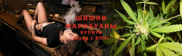 эйфоретик Арсеньев