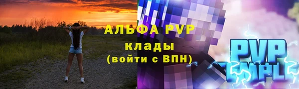 гашик Елизово