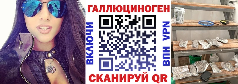 Галлюциногенные грибы Psilocybe  где купить   Питкяранта 